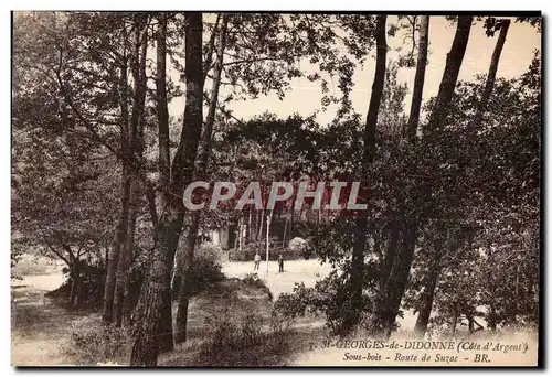 Cartes postales St Georges de Didonne (Cote d Argent) Sous bois Route de Suzac BR