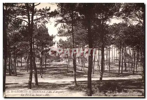 Cartes postales St Georges de Didonne (Cote d Argent) La Foret de Suzac BR