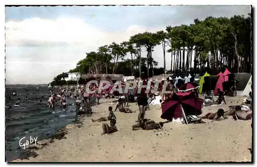 Cartes postales moderne Ronce Les Bains Coucher La Plage de la Cepe