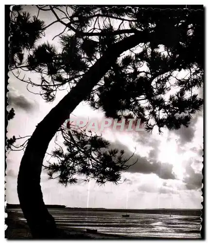 Moderne Karte Ronce Les Bains Contre jour sur la Plage