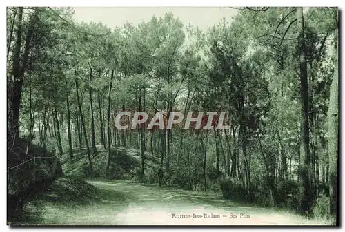 Cartes postales Ronce Les Bains Ses Pins