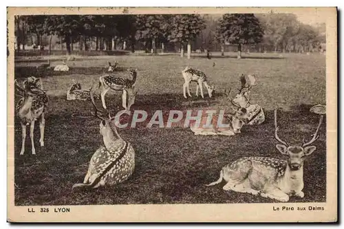 Cartes postales Lyon Le Parc aux Daims