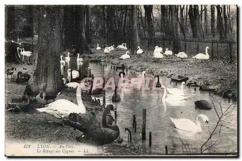 Cartes postales Lyon Au Parc Le Refuge des Cygnes swan