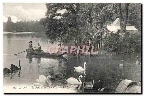 Ansichtskarte AK Lyon Le Parc de la Tete D Or Cygne Swan