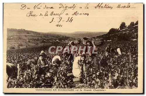 Cartes postales Macon Vendanges Vignoble