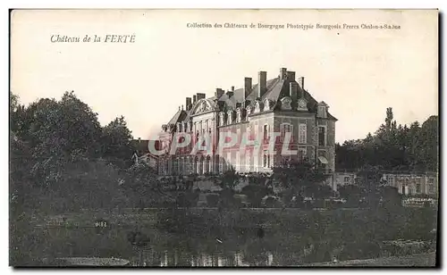 Cartes postales Chateau de la Ferte