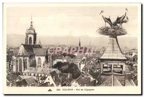 Cartes postales Colmar Nide de Cigognes