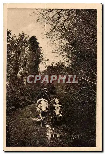 Cartes postales La Douce France Normandie Retour a la Ferme Vaches