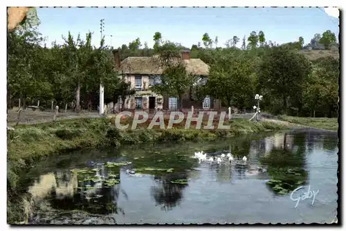 Cartes postales moderne Normandie Barbotage sur la mare