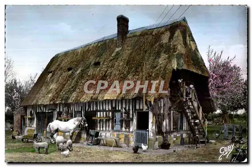 Moderne Karte La Normandie Vieille Ferme