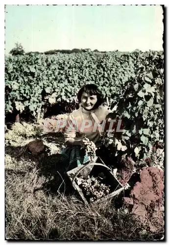 Cartes postales Souvenir De Vendanges