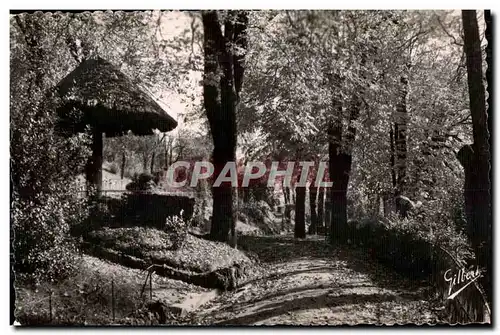 Cartes postales Angouleme Un Coin d Ombrage au Jardin Vert