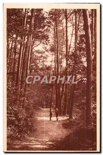 Le Huelgoat - L Allee aux Violettes - Cartes postales