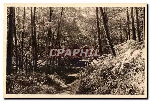 Le Huelgoat - Route dans la Foret - Cartes postales