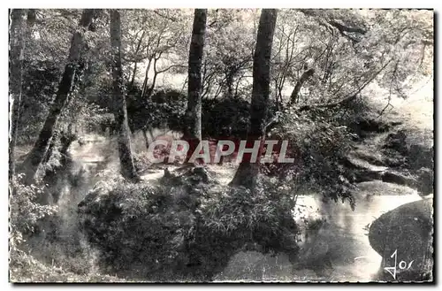 Le Huelgoat - Dans l allee Violette - Cartes postales moderne