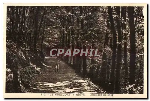 Huelgoat - Allee des Violettes - Cartes postales