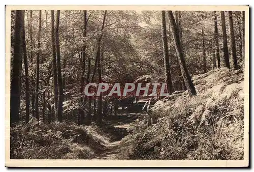 Huelgoat - Route dans la foret - Cartes postales