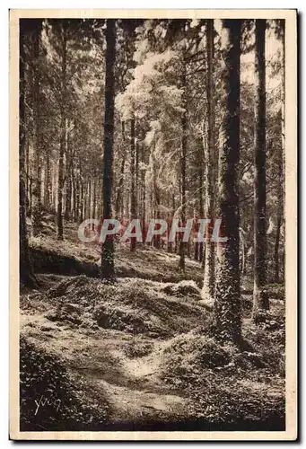 Huelgoat - Sous bois pres de la Grotte d Artus - Cartes postales