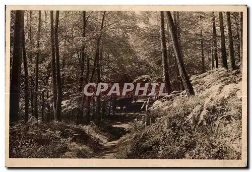 Ansichtskarte AK Bretagne Huelgoat (Finistere) Roule dans la Foret