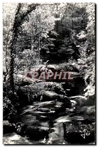 Cartes postales Huelgoat (Finistere) La riviere d argent dans les sous bois