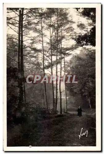 Ansichtskarte AK Huelgoat (Finistere) Dans la foret en bordure de la route