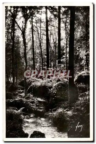 Ansichtskarte AK Huelgoat (Finistere) La foret pres de la mare aux sangliers