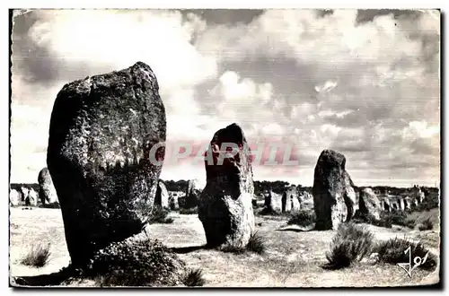 Ansichtskarte AK Carnac (Morbihan) Les monumets megalithiques Les alignements du Menec Comprennent Plus de mille