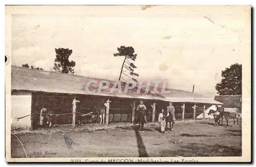 Cartes postales Camnpdu meucon (mirbhan) les ecuries Cheval Horse