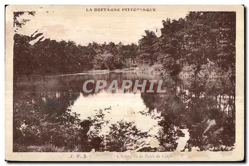Cartes postales La bretagne pittoresque Etang de la foret de Coplo