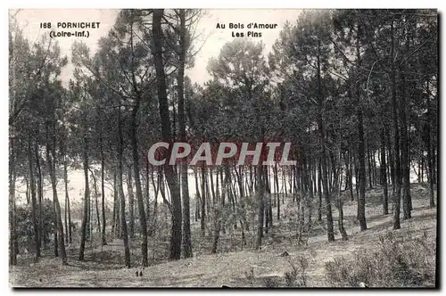 Cartes postales Pornichet (Loire-Inf ) Au Bois d Amour Les Pins