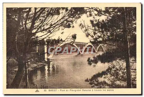 Cartes postales Brest Pont de Plougastel Daoulas a travers les sapins