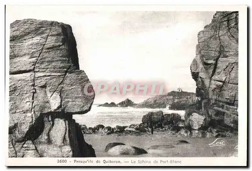 Ansichtskarte AK Presqu ile de Quiberon Le Sphinx de Port Blanc