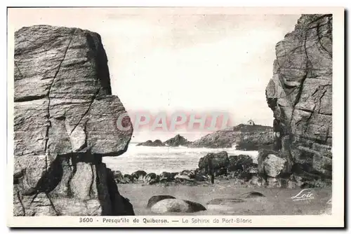 Ansichtskarte AK Presqu ile de Quiberon Le Sphinx de Port Blanc