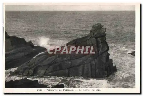 Ansichtskarte AK Presqu ile de Quiberon Le Rochers du Lion