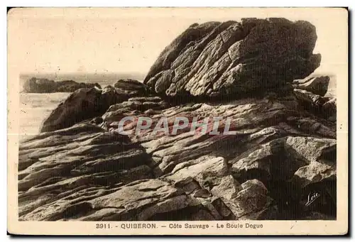 Ansichtskarte AK Quiberon La Cote Sauvage La Boule Dogue