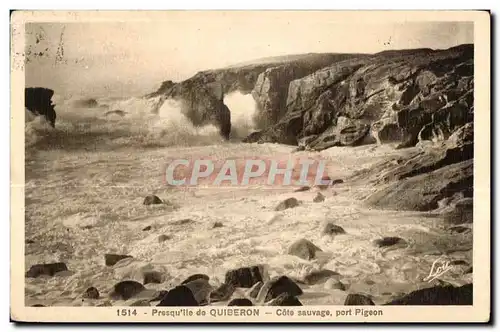 Cartes postales Quiberon Presquile Cote Sauvage Port Plgeon