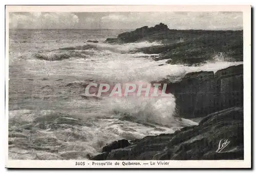 Ansichtskarte AK Presqu ile de Quiberon Le Vivier