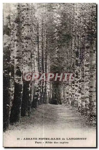 Ansichtskarte AK Abbaye Notre Dame de Langonnet Parc Allee des sapins