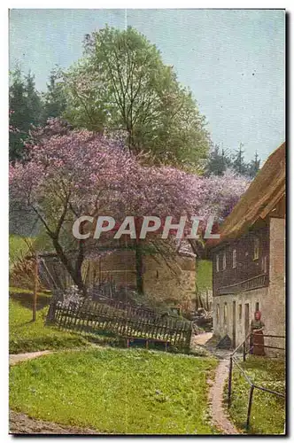 Cartes postales Scene dans les alpages Suisse