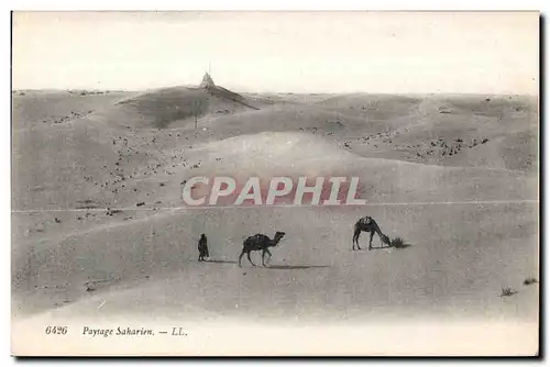 Cartes postales Tunisie Paysage Saharien