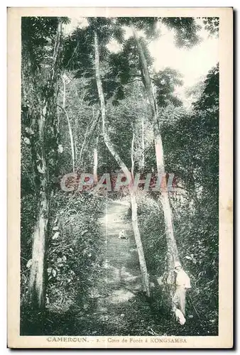 Cartes postales Cameroun Coin de Foret a Kongsamba