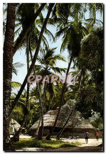 Cartes postales L Afrique En Couleurs Village sous les Palmes