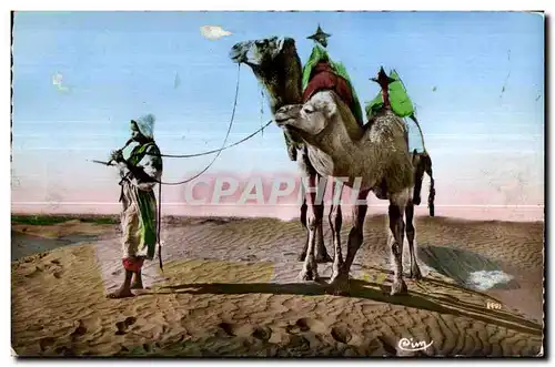 Ansichtskarte AK Collection Artistque L Afrique Musicien