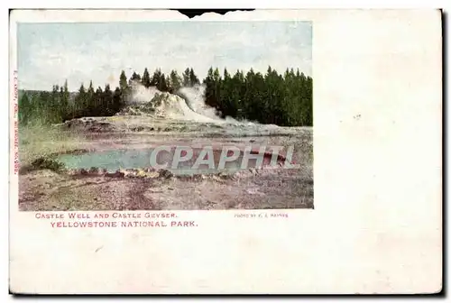 Cartes postales Castle Well and Castle Geyser Yellowstone Nationl Park