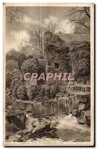 Ansichtskarte AK Old Jesmond Dene Newcastle on tyne