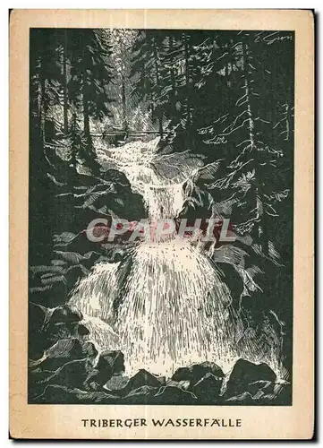 Ansichtskarte AK Triberger Wasserfalle