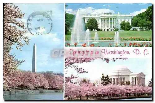 Cartes postales Springtime In Washington Shown are The Washington Monument White House