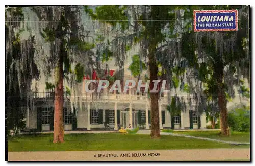 Cartes postales A Beautiful Antie Bellum Home Louisiana