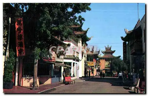 Cartes postales Los Angeles California Art and Gift shops Herb and spice shops Oriental nightclubs and restauran