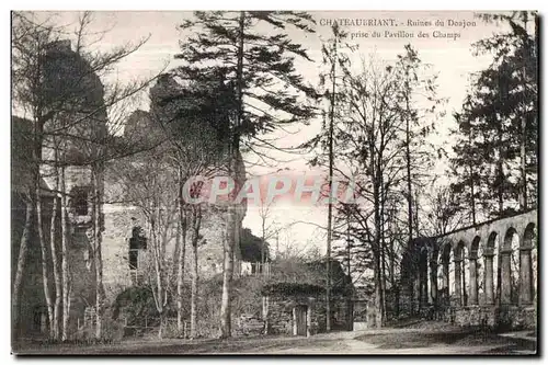 Chateaubriant - Ruines du Donjon Vue prise du pavillon aux champs - Ansichtskarte AK